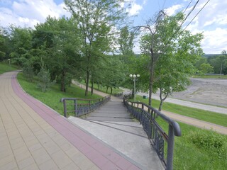 fresh green roads in a park