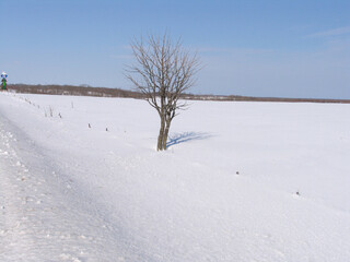 Obraz premium 雪原