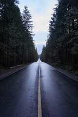 long straight road after rain through a forest   