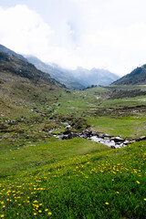 Fototapeta na wymiar Natural landscape of a stream with mountains around.