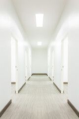 Light White Hall Room  With Doors and Wood Floor