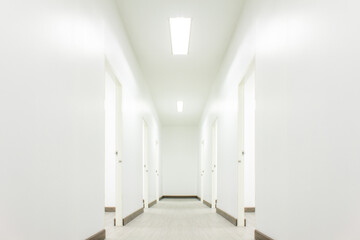 Light White Hall Room  With Doors and Wood Floor