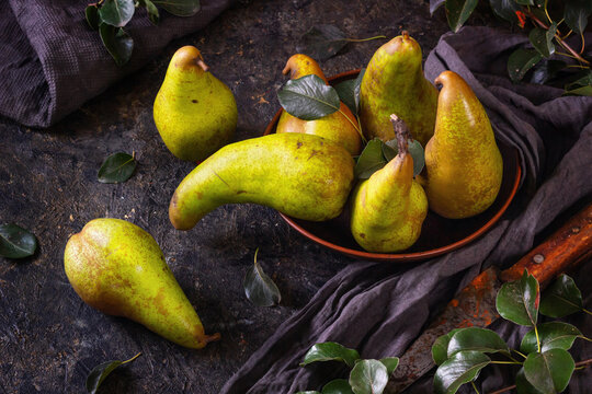 Rural still life, low key dark photography - view of a Conference pear in clay dishes with old rusty knife, closeup with selective focus