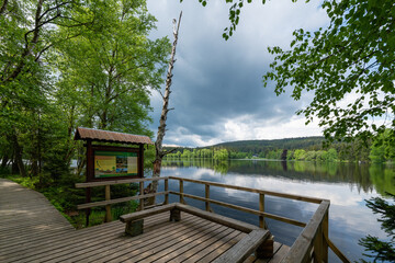 Kladská Nature Trail (Naučná stezka Kladská in Czech) - spring at the pond in the National Nature Reserve Kladska near the important spa town of Mariánské Lázně (Marienbad) - Czech Republic - Europe