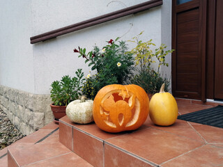 Halloween cat carved pumpkin cute autumn decoration