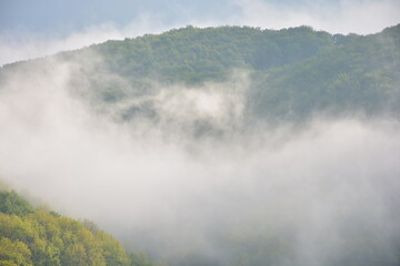 morning mist on the hill. beautiful nature scenery in spring. scenic nature scenery on a sunny weather