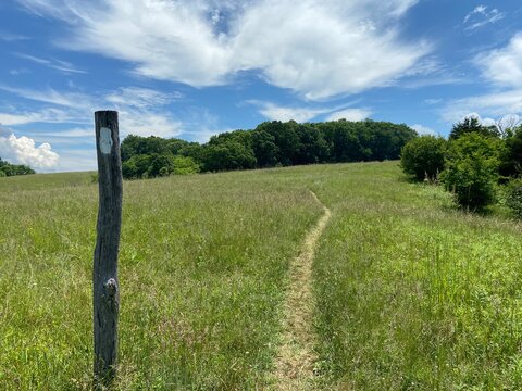 Keefer Oak - Appalachian Trail - Newport, VA