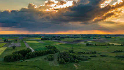 Field with trees landscape from aerial