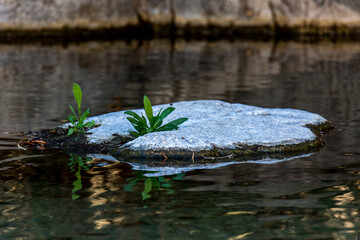 Whitewater, California
