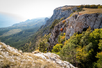 rocky mountain landscape