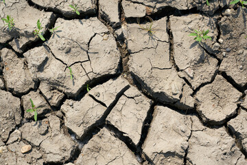 Parched soil due to climate warming on a field