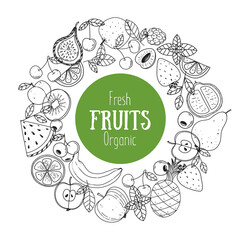 Fruits collection. Hand drawn vector illustration. Minimalist design. Scandinavian style illustration. Healthy organic food sketch.