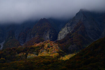 秋の大山