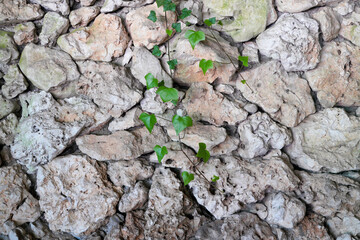 Texture, Stricture of a stone made of natural mineral material as a background