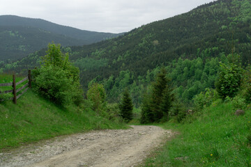mountain road among green grass