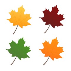 Set of autumn maple leaves. Colorful foliage. Vector illustration.