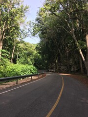 road in the forest