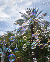 Palmeras con burbujas 