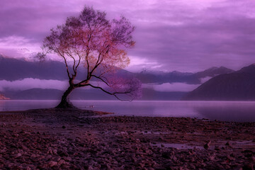 Fototapeta na wymiar lonely tree, lakes, mountains, clouds, fantasy, dream, nature, artificial