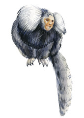 Little monkey on an isolated white background painted with watercolor