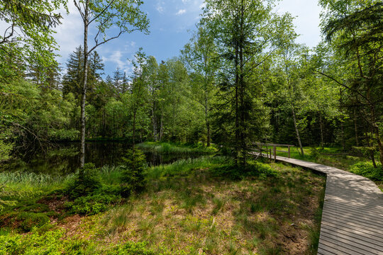 Educational Trail Kladska (Glatzen) - one of the oldest and largest nature reserves in the Karlovy Vary region and the most valuable part of the Protected Landscape Area Slavkovsky Forest - Czechia