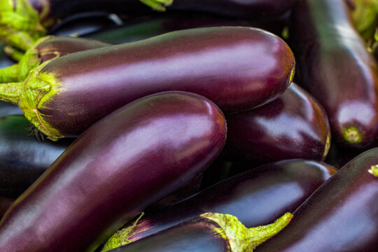 Brinjal Eggplant Aubergine Purple Green Wet Dry Market Hawker Food Stall Vendor Grocery Shopping Fruits Vegetables Seafood Poultry Meat Cooked Raw Fresh Uncooked