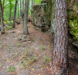 Broxton Rocks Preserve, Broxton, Georgia