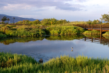 Los humedales de Las Salinas Roquetas de Mar Almería, Sur de España