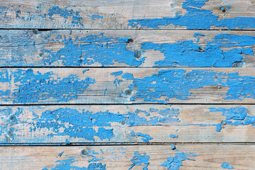 Fototapeta na wymiar Old wooden background with shabby flake blue paint in flat lay