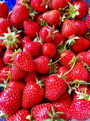 strawberries in a market