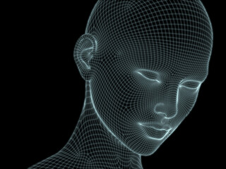 Face Mesh in 3D