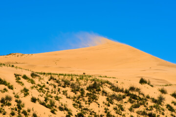 Dune against the background of a bright blue sky. The wind blows the sand off the ridge of the dune. Wild nature landscape. Desktop wallpaper