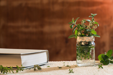 Fresh twigs of thyme and peppermint in a glass jar with water on a natural morning light, and a book in the left third. Wooden background with space for text. Aromatherapy and reading concept.