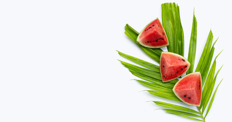 Watermelon with tropical palme leaves on white