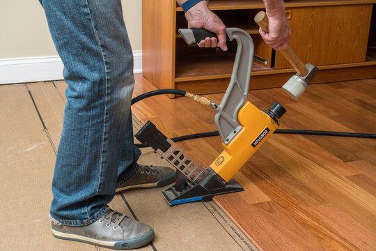 Morgantown, WV - 7 June 2021: Installer Activating Bostitch Nailing Gun To Install Brazilian Cherry Tropical Hardwood Flooring