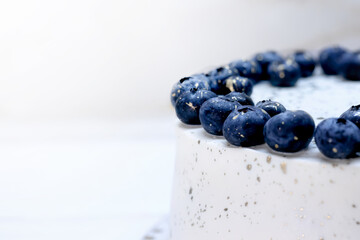 part of the white curd cake with blueberries on top. free space for your text. High quality photo