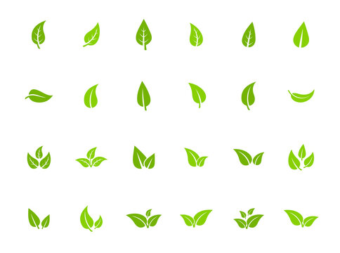 Set of isolated green leaf icons on white background. Various forms of green leaves of trees and plants. Abstract natural leaf icons. Elements for ecotypes and biotypes. Vector illustration. EPS 10