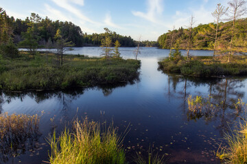 Fototapeta na wymiar northern lake in the forest