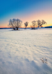 Cold winter sunrise nature landscape