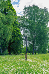 Black vintage iron lantern in the daytime among the green trees in the forest