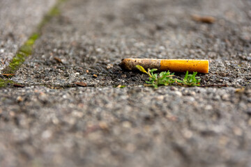 Discarded cigarette butt lying outdoors on cement paving