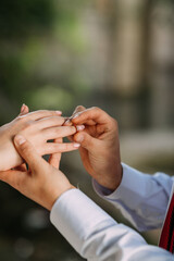 The gentle embrace of the hands of newlyweds with wedding rings 3185.