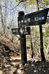 奥秩父　両神山の道