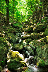 奥秩父山塊の両神山　表登山道の渓流　薄川