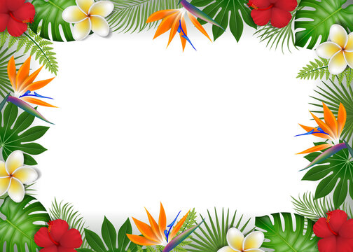 Summer frame with tropical leaves and exotic flowers