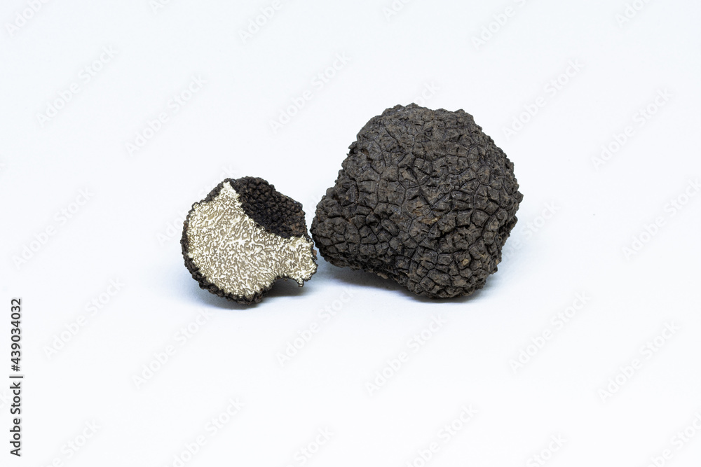 Wall mural black truffle, tuber aestivum, white background