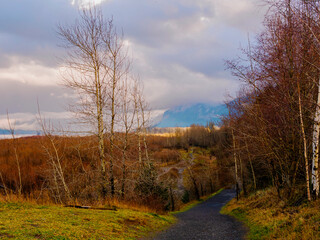 Rooster Rock State Park - Corbett (17)