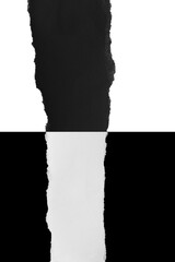 Ripped black and white paper, copy space.