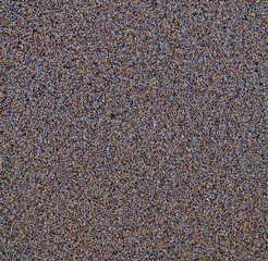 Wet compact sand on a beach, top view of assorted small grains of sand made of various minerals.