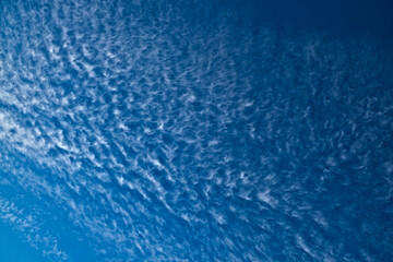 Fototapeta na wymiar Off-white clouds (cirrus) in vivid blue sky.